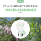 【espoir】WATER SPLASH サンクリーム SPF50+PA＋＋＋〈グリーン〉